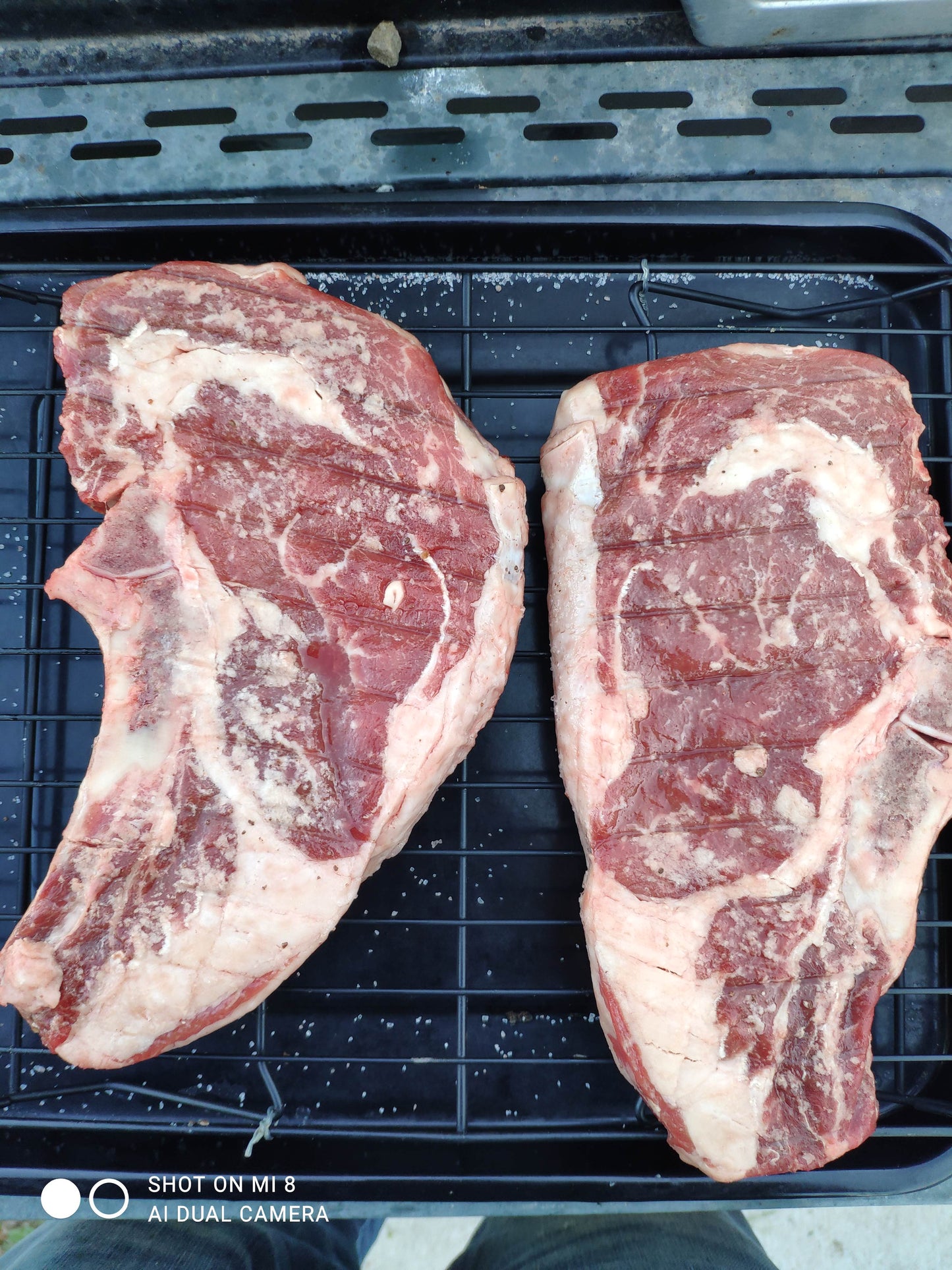 Pasture raised, Dry Aged, Hormone free, Antibiotic Free, Southern Alberta RIb Eye. Perfect for any Carnivore Enthusiast.