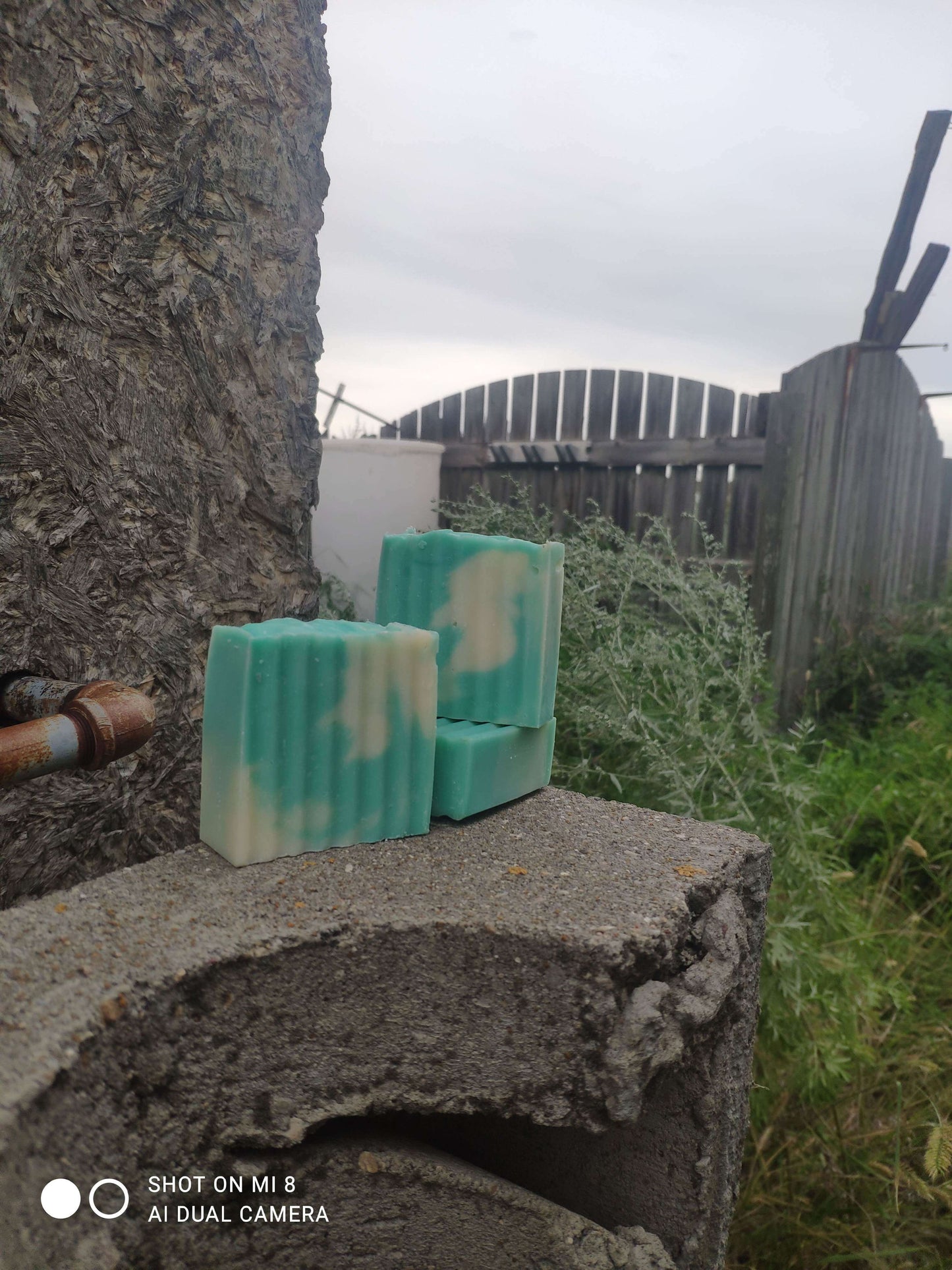 Cedar Mist scented 3x wet rendered pasture raised tallow soap bars, in Southern Alberta.